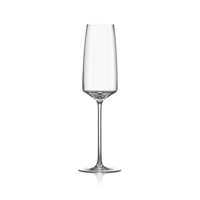 Vista Champagne Glass 8 ½ oz. | Set of 6