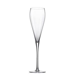 Grace Champagne Glass 9.5 oz. | Table Effect