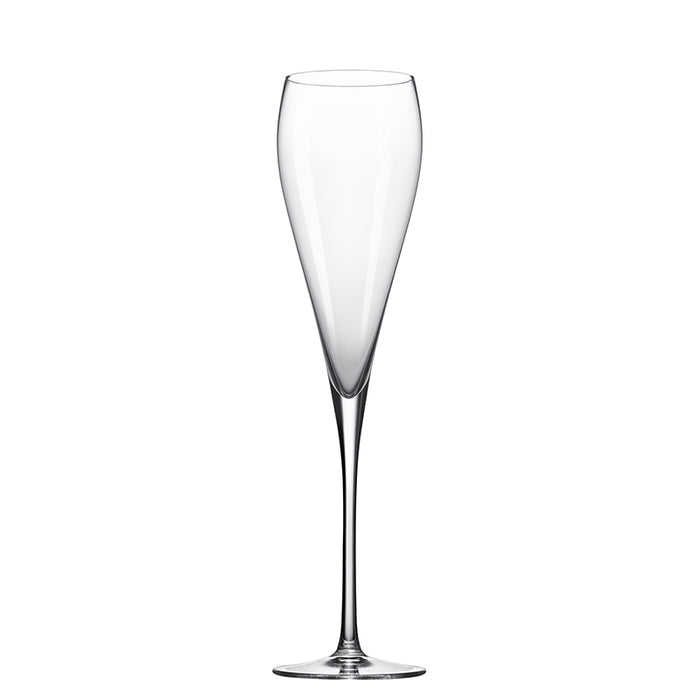 Grace Champagne Glass 9 ½ oz.